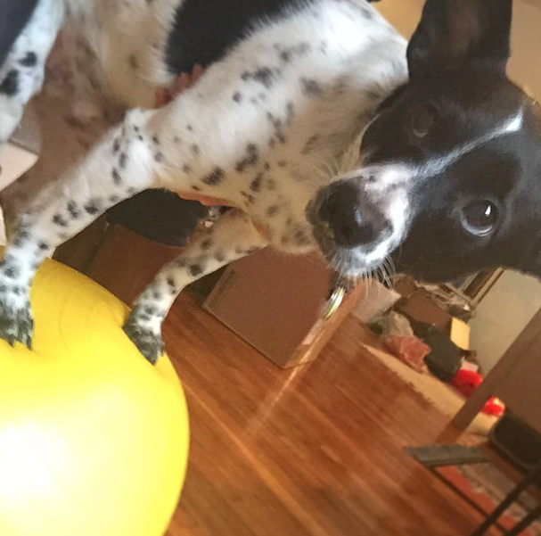 Henry's Story - Exercise Ball Therapy
