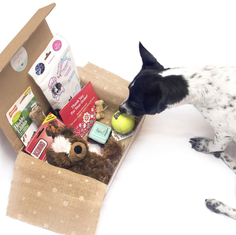 The Broke Dog: Save Money With Dog Subscription Boxes