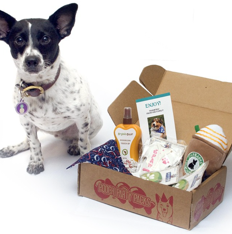 The Broke Dog: Save Money With Dog Subscription Boxes