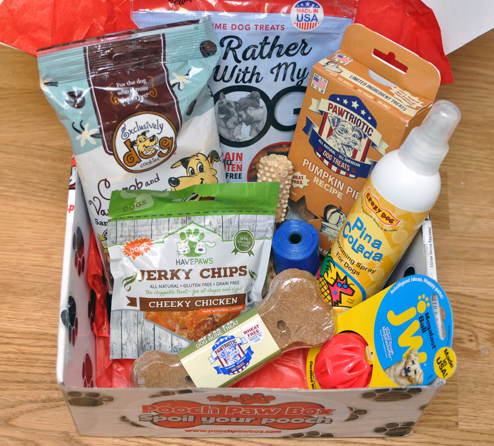 The Broke Dog: Pooch Paw Box January 2016 Unboxing and Review