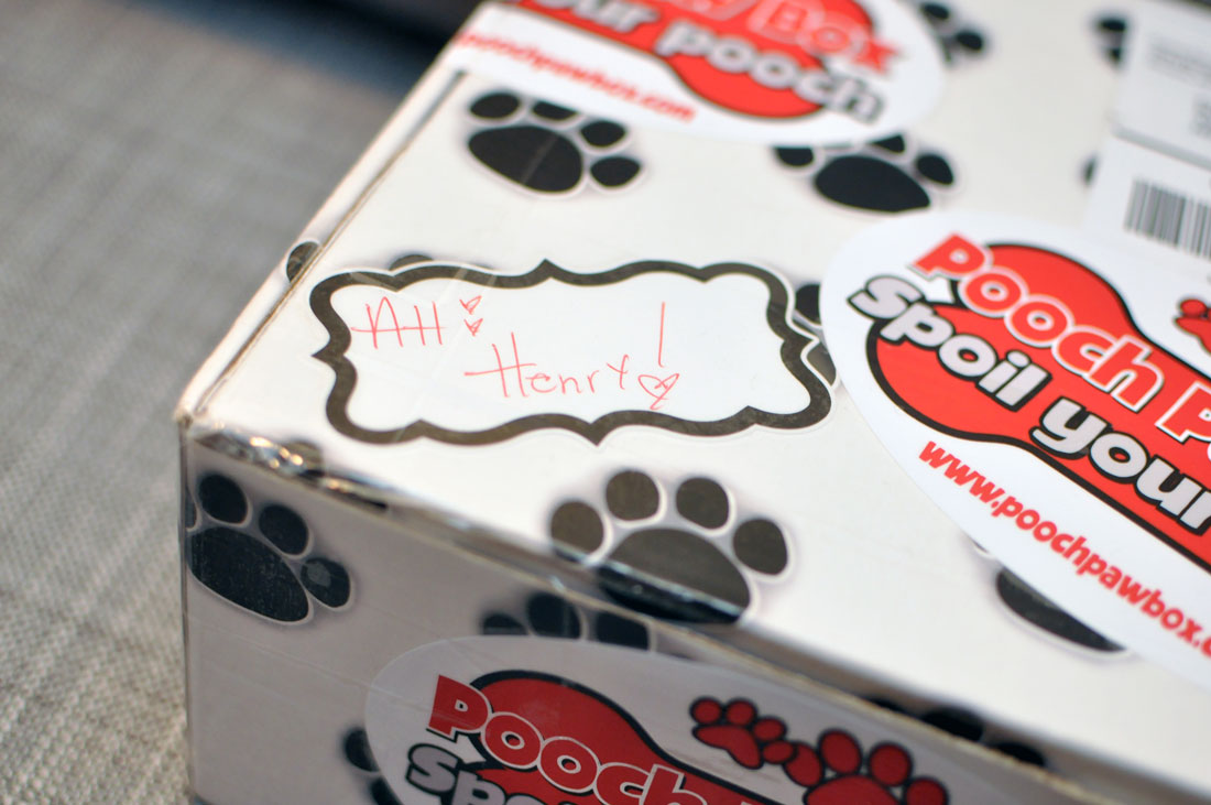 The Broke Dog: Pooch Paw Box January 2016 Unboxing and Review