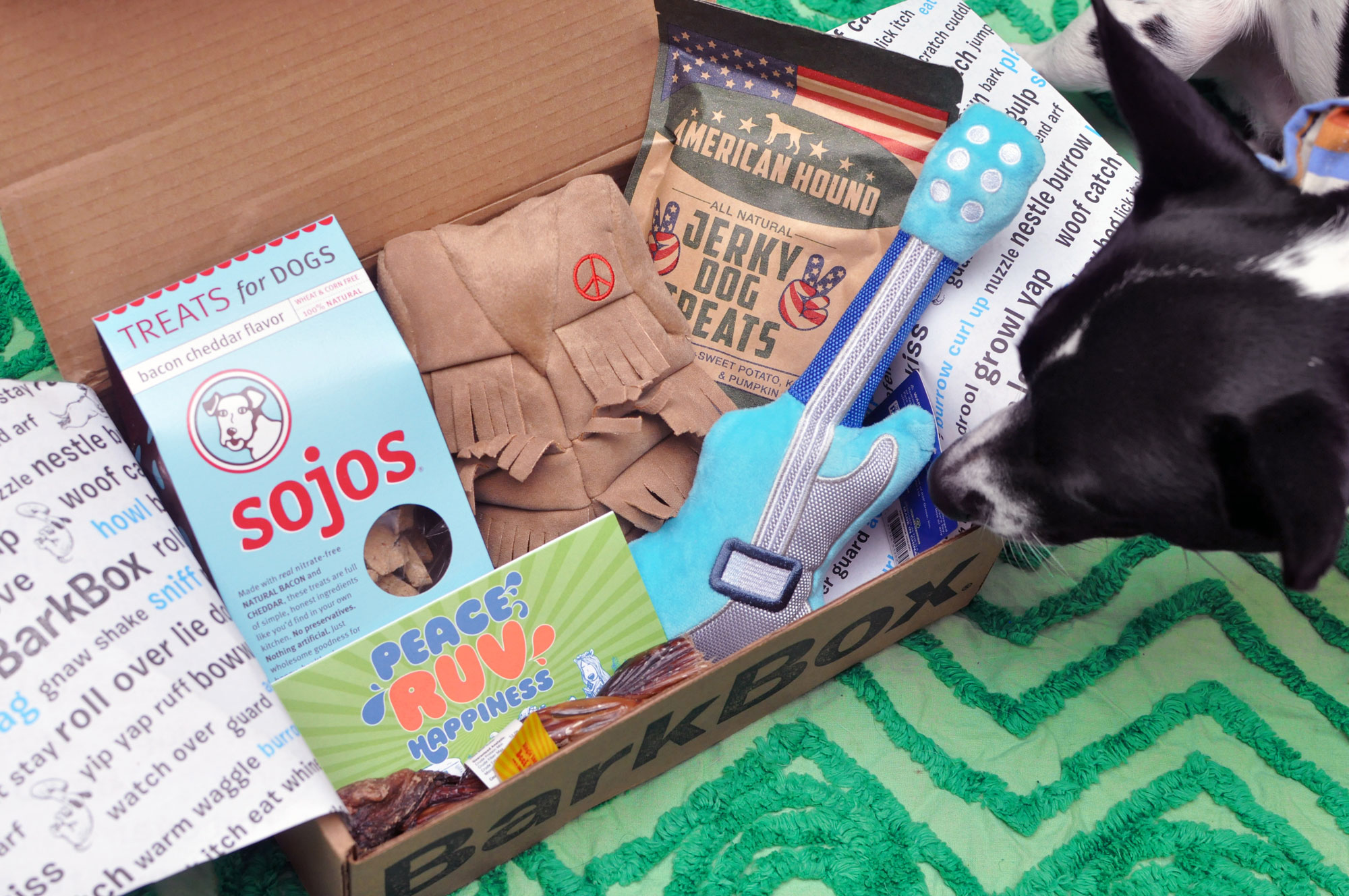 The Broke Dog: January 2016 BarkBox Unboxing. Add a free BarkBox to any new plan with code HENRYTHENUGGET!