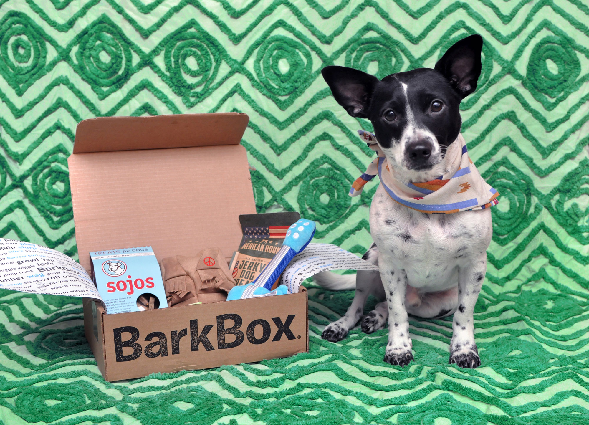 The Broke Dog: January 2016 BarkBox Unboxing. Add a free BarkBox to any new plan with code HENRYTHENUGGET!