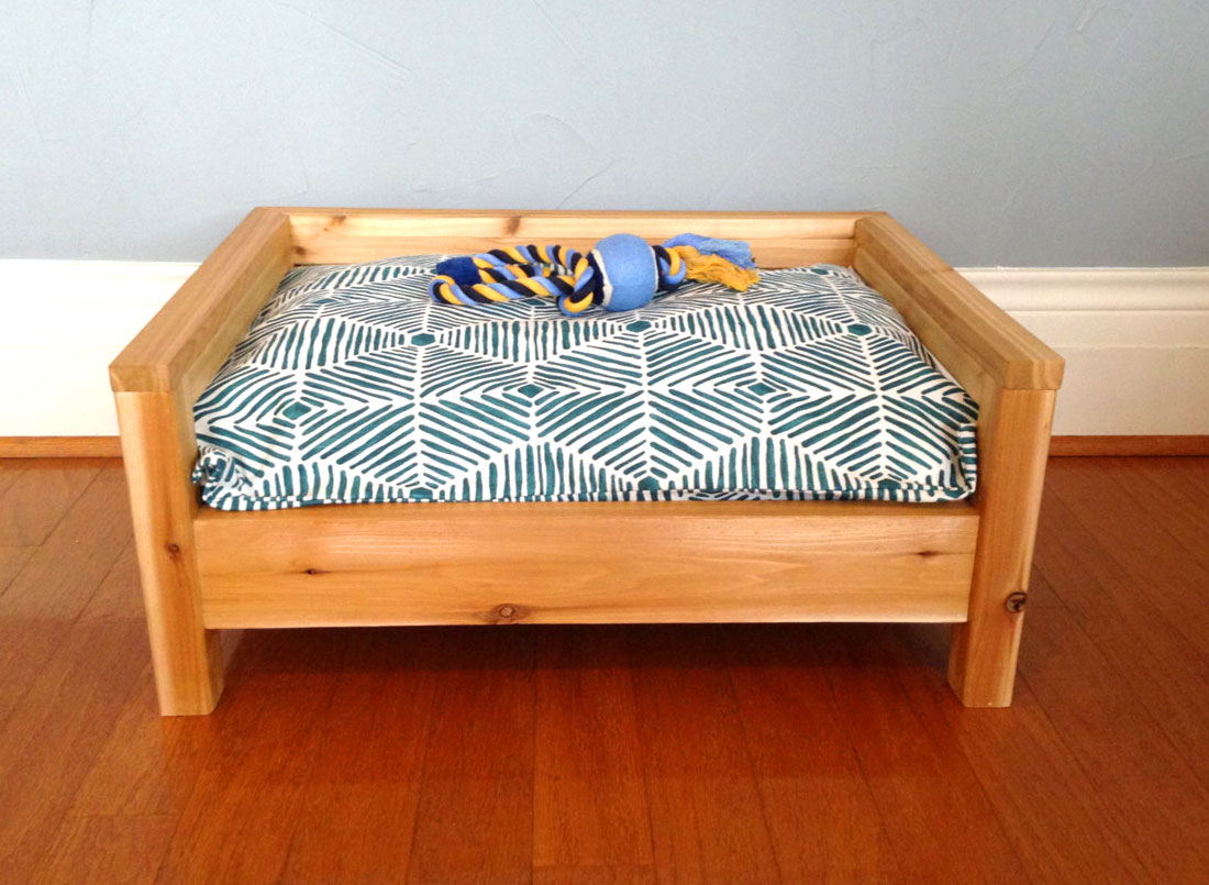 Cozy Cama Small Business Spotlight on The Broke Dog