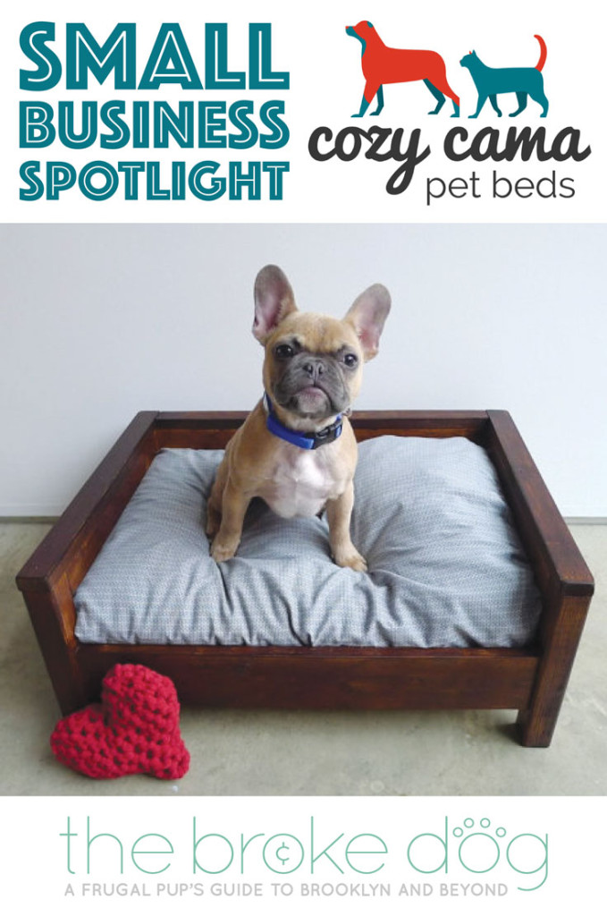 Cozy Cama Small Business Spotlight on The Broke Dog