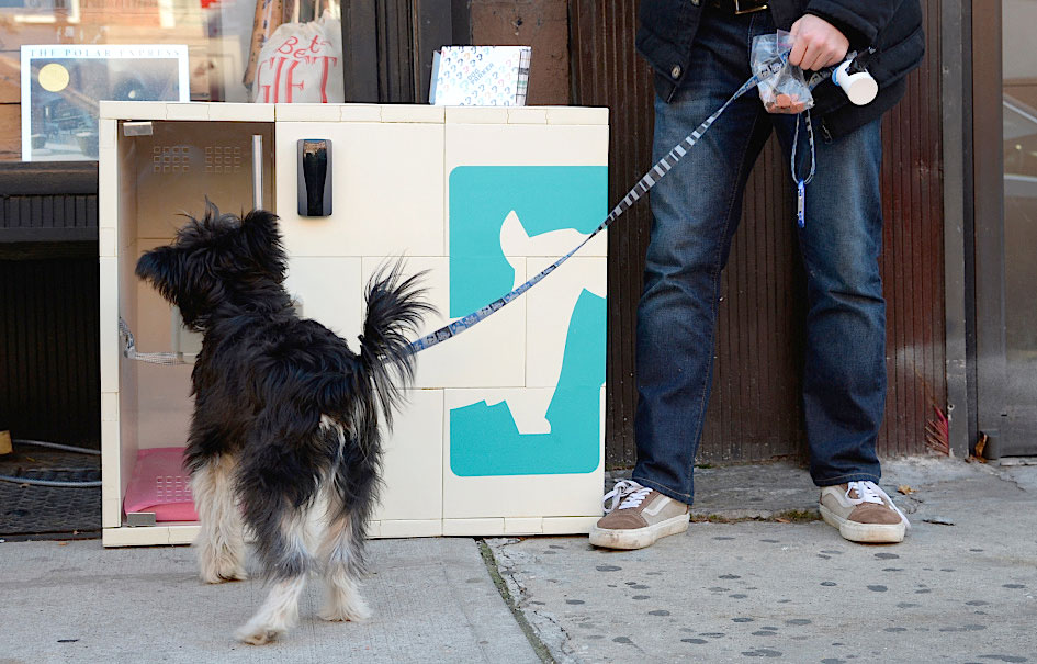 We interviewed Chelsea Brownridge of Dog Parker, a new service that makes it easy to shop with your dog!