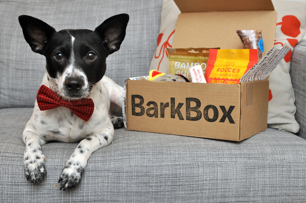 Henry and I unbox the February 2016 "Happy Lunar New Year!" BarkBox! Use code HENRYTHENUGGET to add a free box to any new BarkBox plan - even a one-month plan!