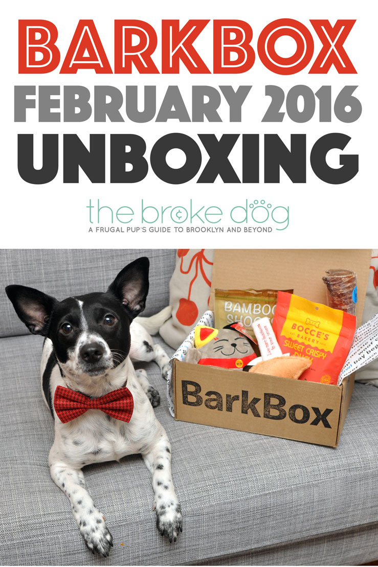 Henry and I unbox the February 2016 "Happy Lunar New Year!" BarkBox! Use code HENRYTHENUGGET to add a free box to any new BarkBox plan - even a one-month plan!