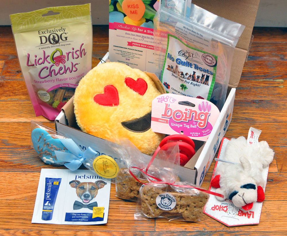 The Broke Dog: Pooch Perks February Box Unboxing and Review