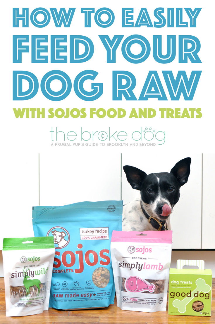 http://www.thebrokedog.com/wp-content/uploads/2016/02/sojos-freeze-dried-raw-dog-food-pinterest-01-small-1.jpg