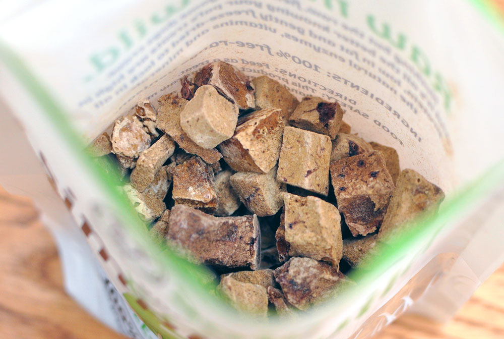 What is irresistible, packed with enzymes and vitamins, and made in the USA from human grade ingredients? Solos! Henry and I took several Sojos items for a test run and have some tips for easily adding raw benefits to your dog's diet!