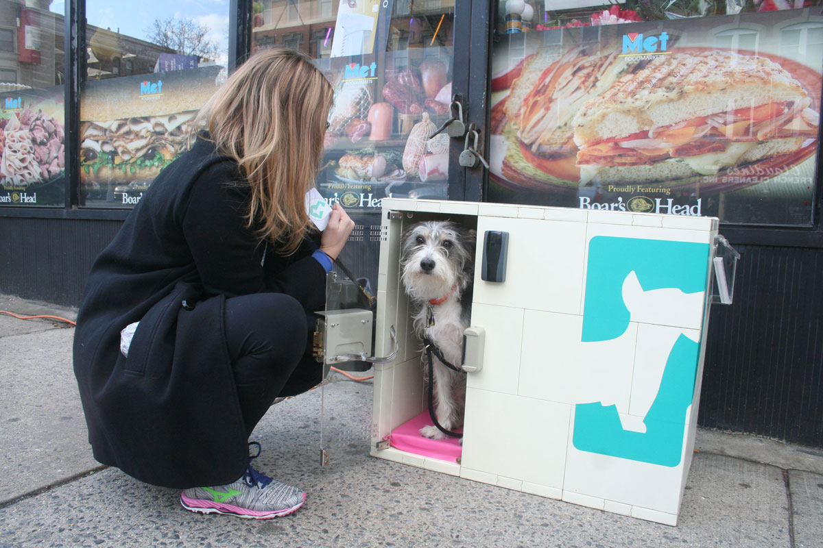 We interviewed Chelsea Brownridge of Dog Parker, a new service that makes it easy to shop with your dog!