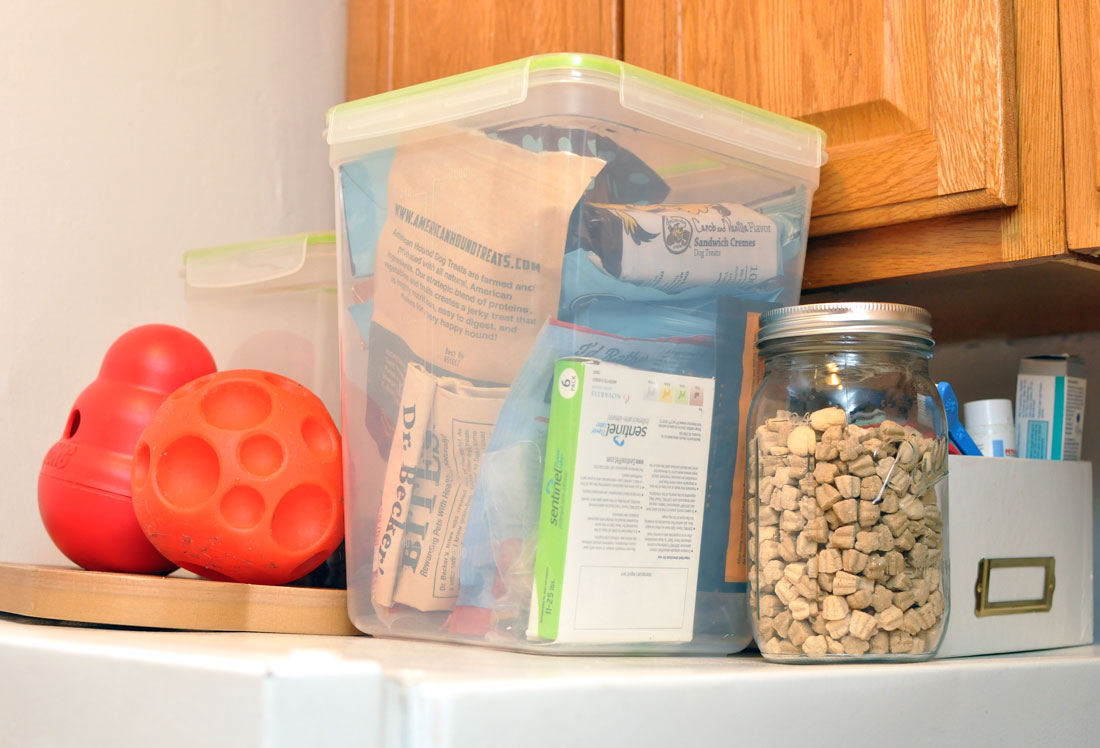 Do you share a small apartment with a dog? It doesn't have to be stressful! Here are nine essential tips to make it easier for both of you.