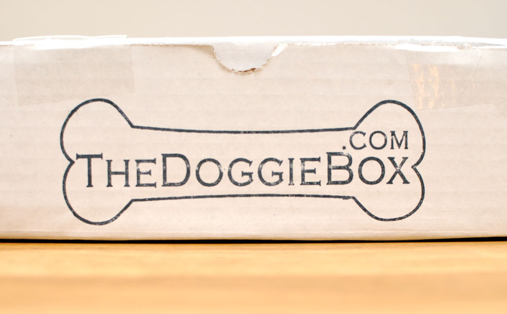 the-doggie-box-dot-com-1