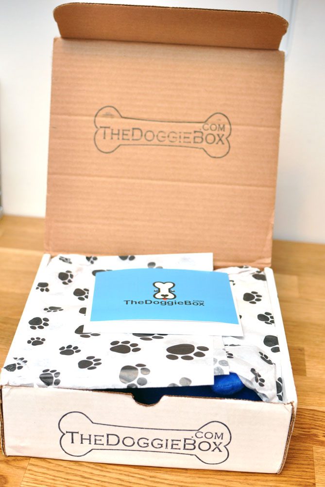 the-doggie-box-dot-com-7
