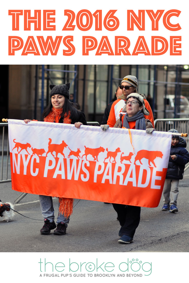 ASPCA-PAWS-PARADE-2016-ADOPTAPALOOZA-pinterest