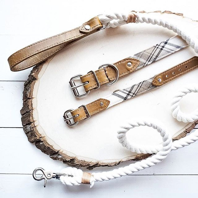 Bearytail Leather Co. makes beautiful matching dog collars and bracelets to show the world how much you love your pup! Tale 20% off with code THEBROKEDOG!