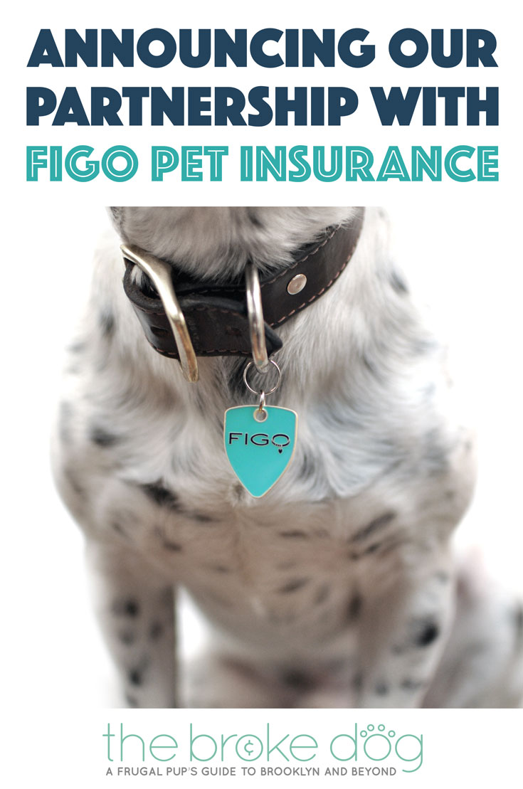 Announcing our partnership with Figo Pet Insurance to bring you great pet insurance at a discounted price!
