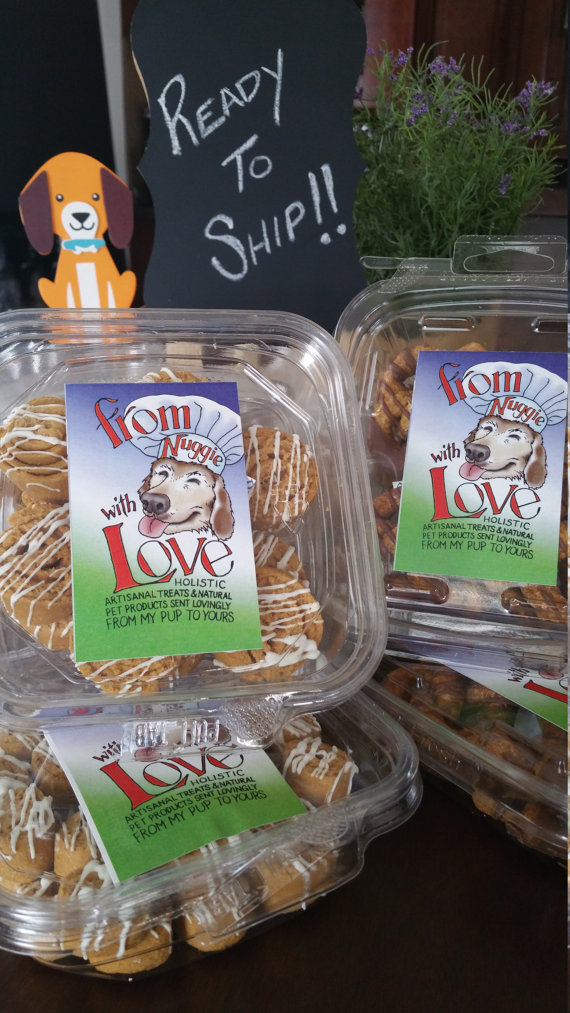 From Nuggie with Love LLC specializes in holistic, artisanal dog treats and premium all-natural pet care products. Henry and I interview the founder, Alley, and give some of their treats a test run!