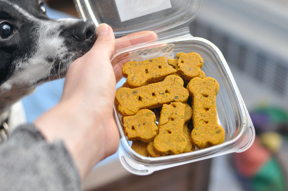 From Nuggie with Love LLC specializes in holistic, artisanal dog treats and premium all-natural pet care products. Henry and I interview the founder, Alley, and give some of their treats a test run!