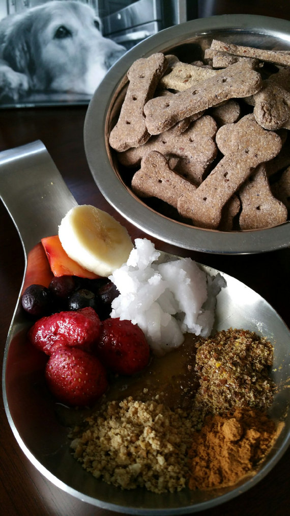 From Nuggie with Love LLC specializes in holistic, artisanal dog treats and premium all-natural pet care products. Henry and I interview the founder, Alley, and give some of their treats a test run!