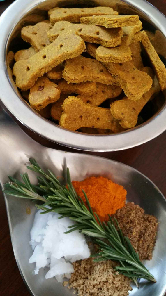 From Nuggie with Love LLC specializes in holistic, artisanal dog treats and premium all-natural pet care products. Henry and I interview the founder, Alley, and give some of their treats a test run!