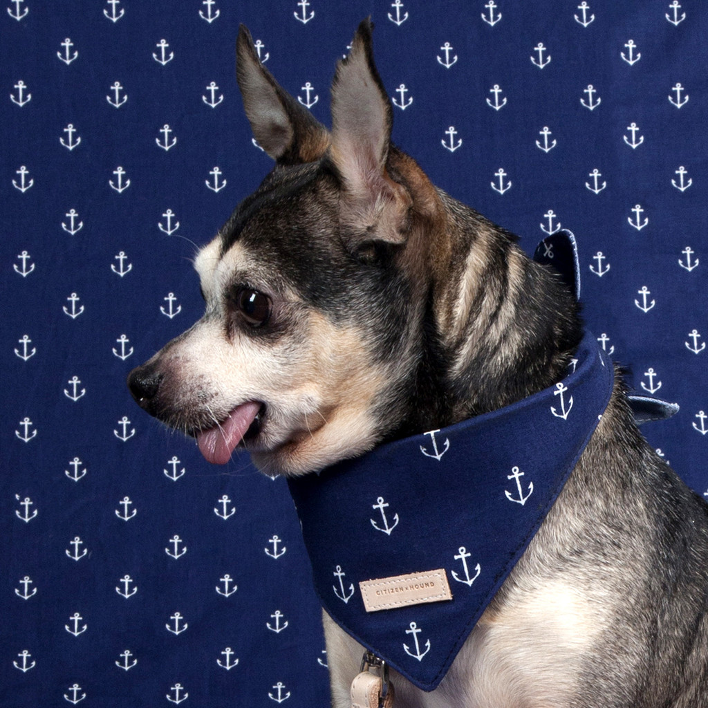 Introducing Citizen x Hound, a new New York City-based brand for the modern dog that features collections based on New York neighborhoods and towns.