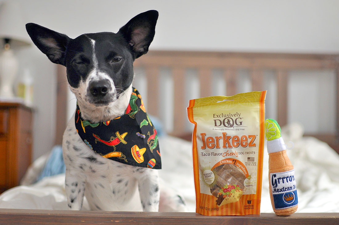 Pooch Perks starts the fiesta with the May Cinco De Mayo box! Check out our post for the full Pooch Perks unboxing and exclusive discount!