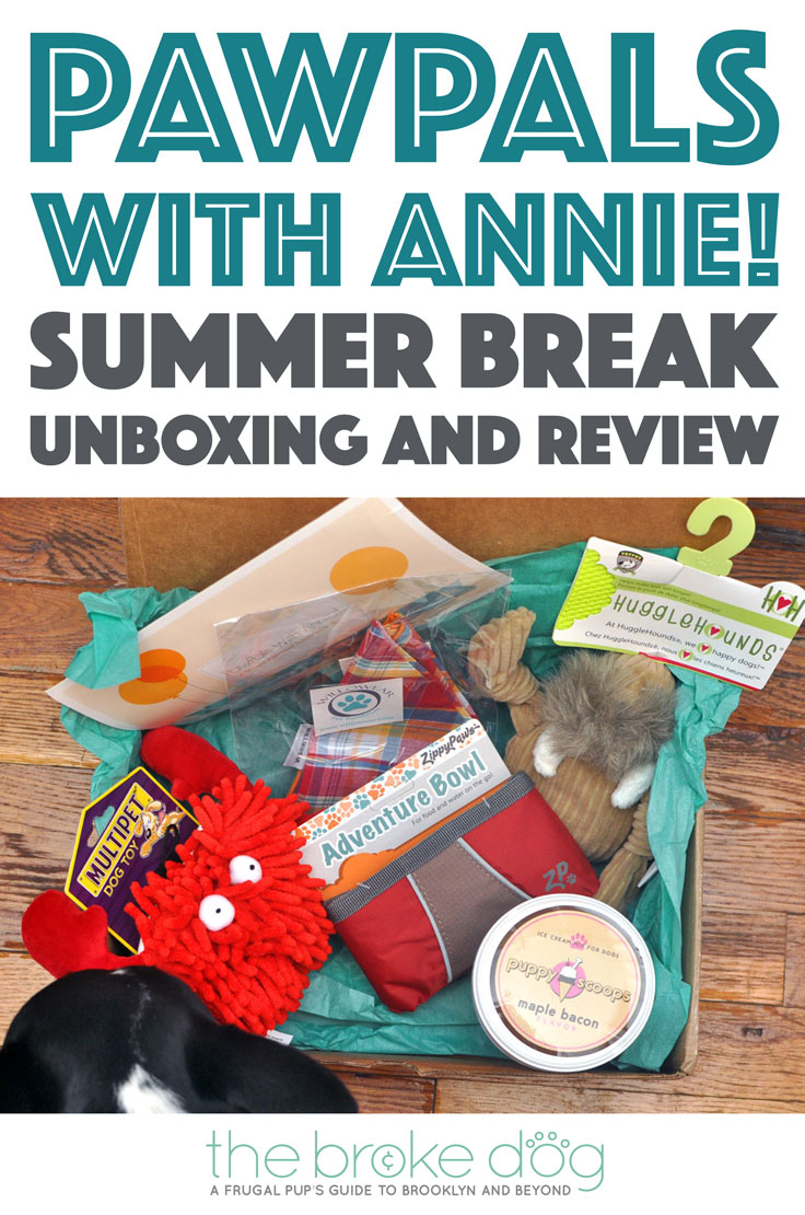 School's out for the summer! The new PawPals With Annie! June box seeks to make the next few months' adventures extra fun. Check it out!