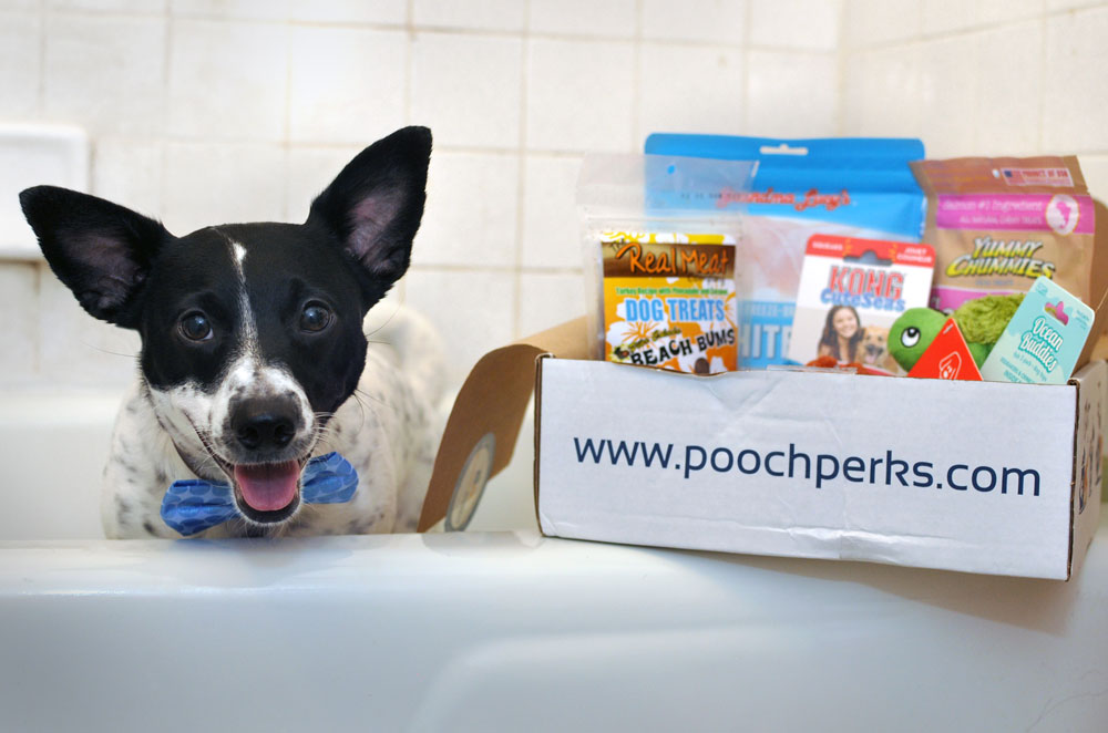The Pooch Perks June box made quite a SPLASH in our household! This month's theme is a tribute to the new Disney/Pixar movie Finding Dory, a sequel to 2003's Finding Nemo. Inside, Henry and I found a sea of savings on products that are adorable, fun, and delicious!