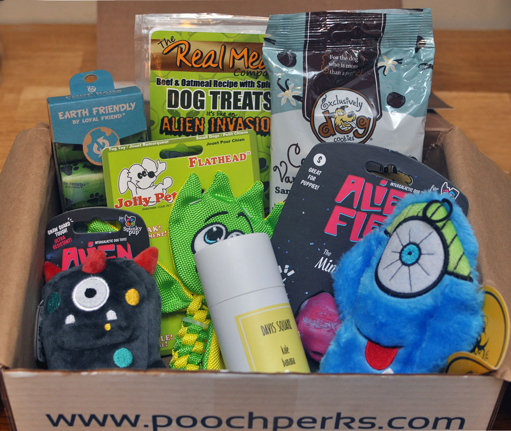 What's that unidentified object flying in the sky? Is it a plane? A rogue dog turd? No it's just this month's Pooch Perks Alien Invasion box! Check out this month's Pooch Perks Unboxing and score an exclusive discount!