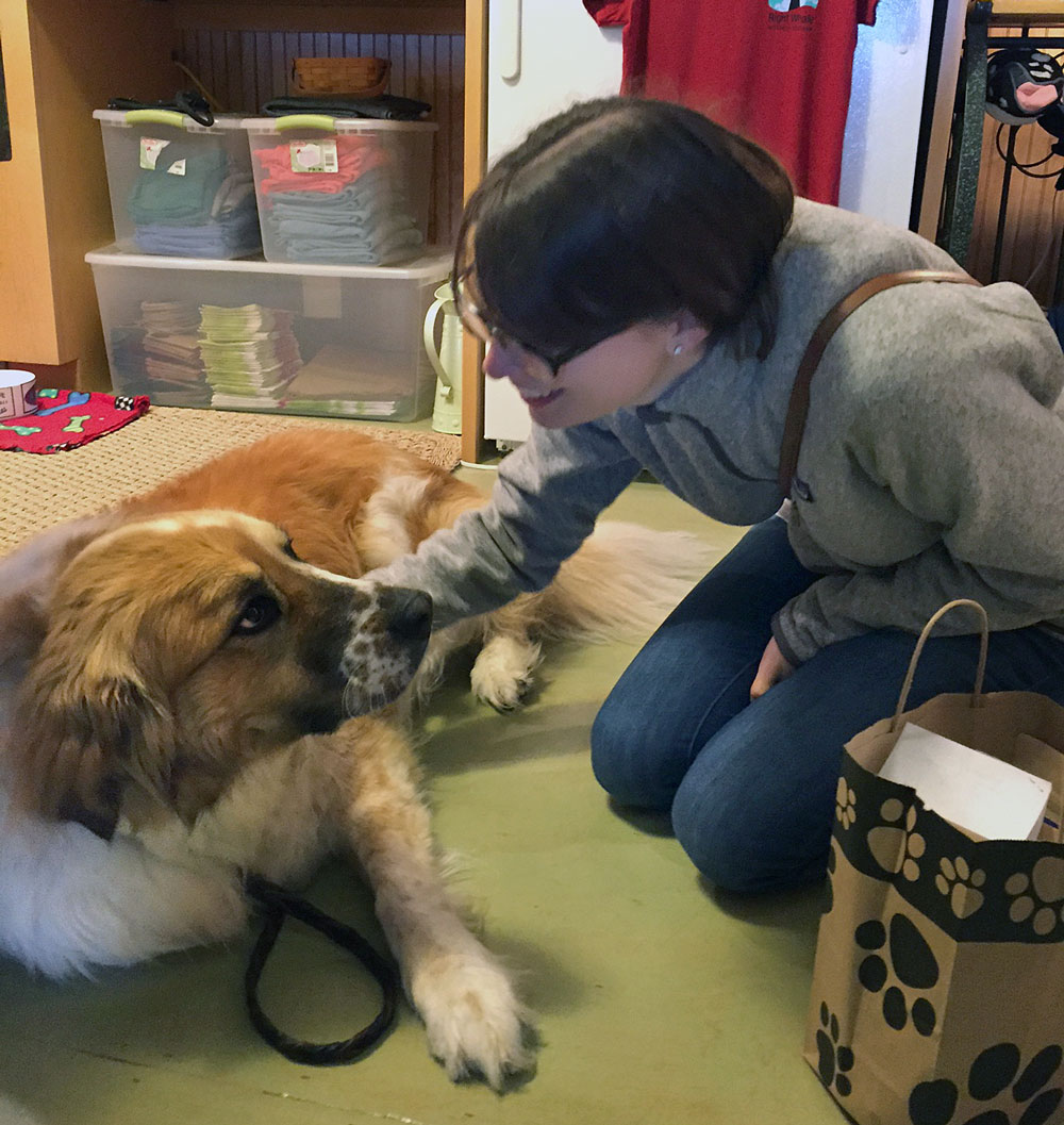 Did you know there is a store that combines knitting and dogs? It's called Wags and Wool, and it's my new favorite store! Check it out to learn more and win some goodies I picked up at the store!