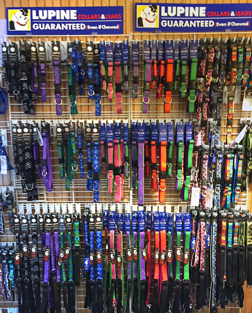 Did you know there is a store that combines knitting and dogs? It's called Wags and Wool, and it's my new favorite store! Check it out to learn more and win some goodies I picked up at the store!