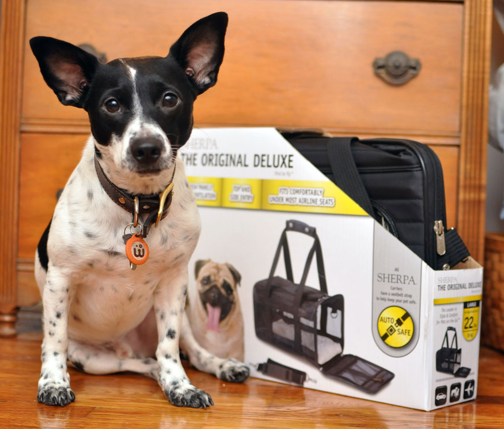 Best dog carrier deals for subway