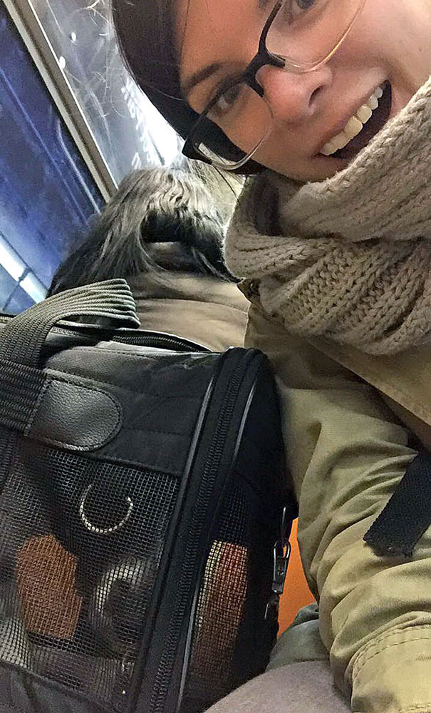 dog in a carrier on the subway