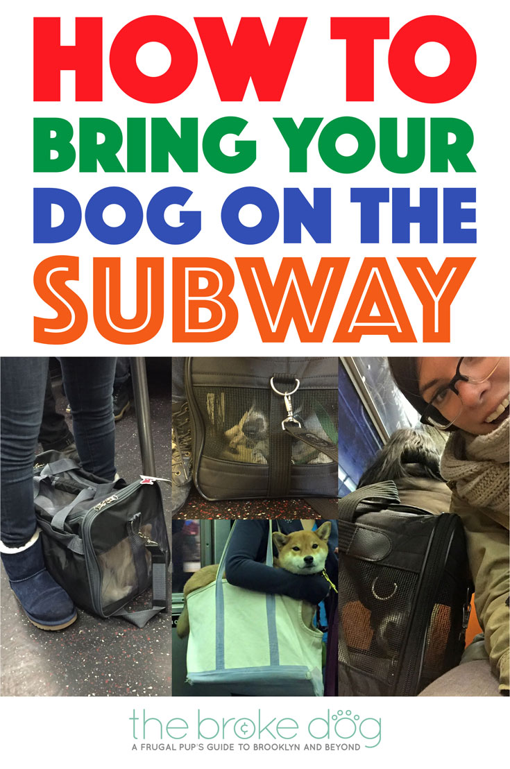 Having a car in New York City is expensive, not to mention a pain in the tush. When forced to travel with their dogs, many New Yorkers choose to take the subway. There is a right way and a wrong way to do this, however, especially if your dog stresses easily. Keep reading to learn how to bring your dog on the subway while following the law and assuring it's an easy trip for you, your dog, and your fellow passengers.