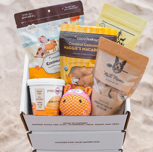 The Dapper Dog Box is a new subscription box service that strives to bring high-quality dog products right to your door! The owner, Kerrie, started the company when she discovered that her own pup needs a special diet. We interview Kerrie and show you what's in this month's box!