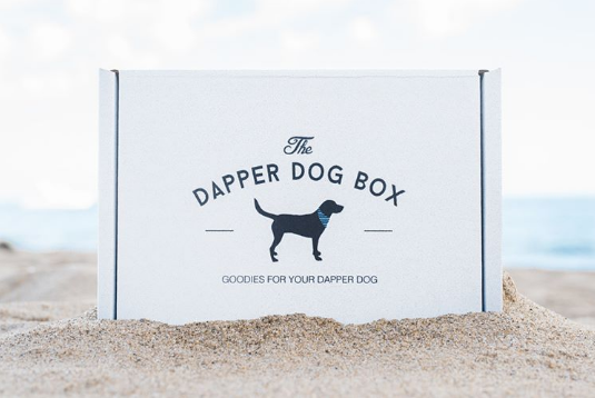 The Dapper Dog Box is a new subscription box service that strives to bring high-quality dog products right to your door! The owner, Kerrie, started the company when she discovered that her own pup needs a special diet. We interview Kerrie and show you what's in this month's box!