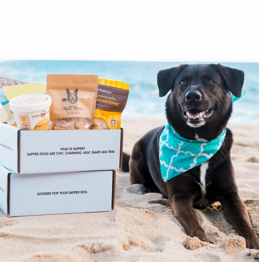 The Dapper Dog Box is a new subscription box service that strives to bring high-quality dog products right to your door! The owner, Kerrie, started the company when she discovered that her own pup needs a special diet. We interview Kerrie and show you what's in this month's box!