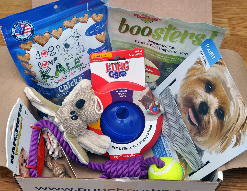 Is your dog a world champion athlete? They will feel like one with this month's Pooch Perks box, which is perfect for your gold medal winner in training! 