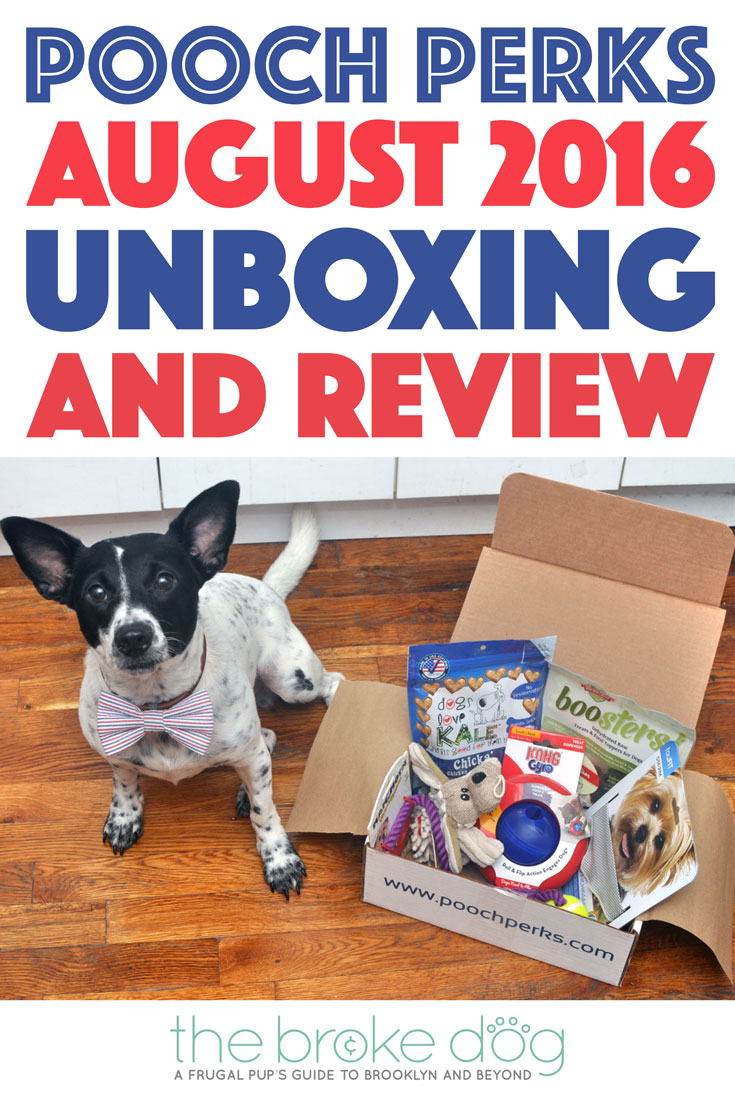 Is your dog a world champion athlete? They will feel like one with this month's Pooch Perks box, which is perfect for your gold medal winner in training! 