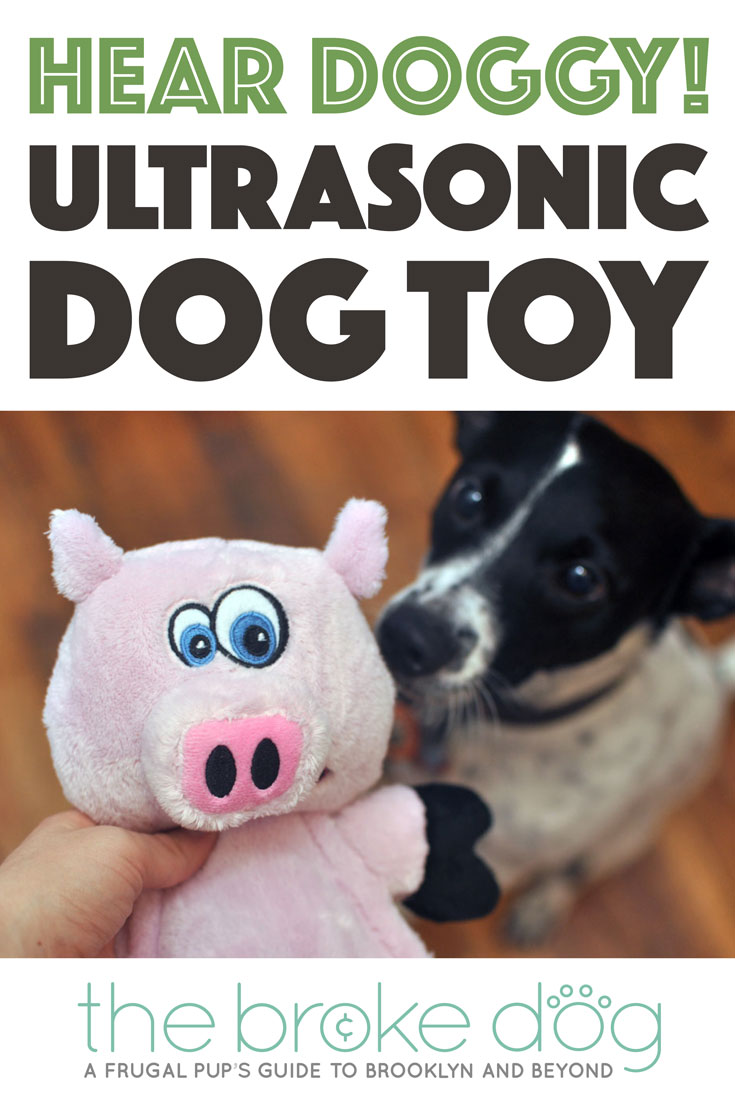 The Hear Doggy!™ is a dog toy with an ultrasonic squeaker that your dog can hear but that you can’t! We gave it a test run, and discovered that it’s a great toy for apartment dwellers or anyone who values a little bit of quiet.