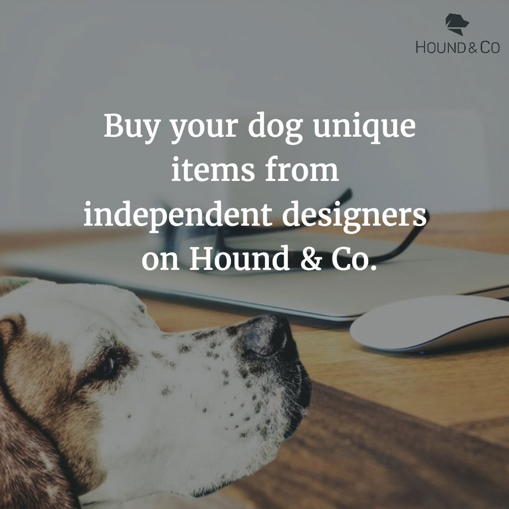 Hound & Co is a new online marketplace dedicated to all things dog! We interviewed founder Laura Green about Hound and Co's start, how Hound & Co helps "dogpreneurs" and rescues, her own hound, and more!