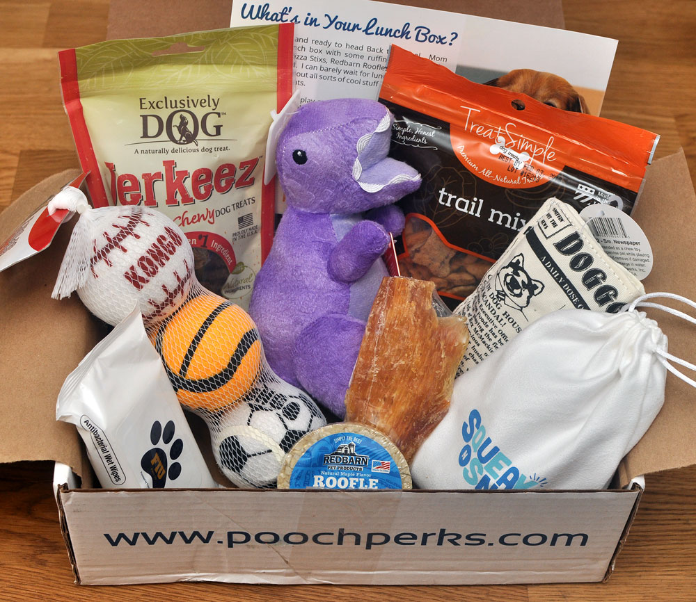 There's nothing like Back to School: new notebooks, new colored pencils, new textbooks, and now, a new Pooch Perks Box! Pooch Perks will help your pup navigate a new school year with its adorable September box, which is stuffed with goodies! Check out our September Pooch Perks review to see what Henry received. 