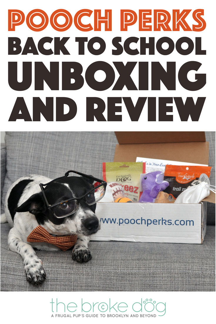 There's nothing like Back to School: new notebooks, new colored pencils, new textbooks, and now, a new Pooch Perks Box! Pooch Perks will help your pup navigate a new school year with its adorable September box, which is stuffed with goodies! Check out our September Pooch Perks review to see what Henry received. 