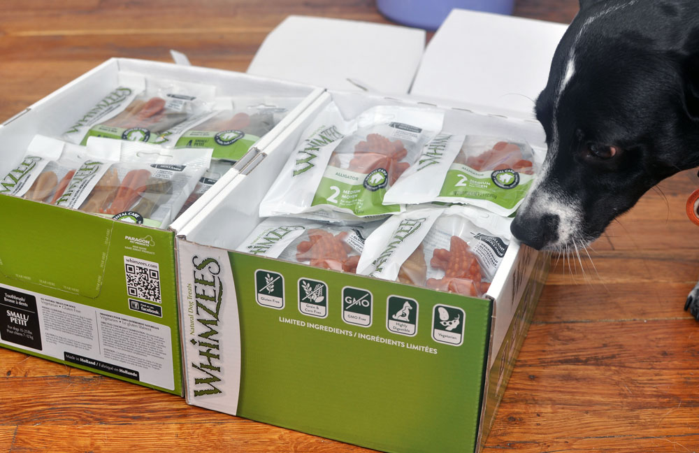 If I were to tell you that one of Henry's favorite snacks is completely vegetarian, would you believe me? It's true! Henry goes absolutely bonkers over Whimzees, dental chews made from natural ingredients that come in all sorts of colors, sizes, and shapes.