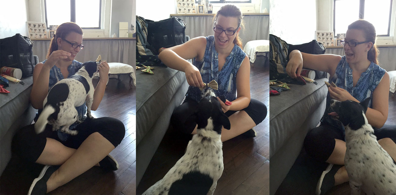 Looking for a pet photographer in the Brooklyn area? Look no further! Petra Romano of Pets by Petra