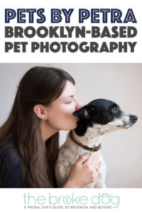 Looking for a pet photographer in the Brooklyn area? Look no further! Petra Romano of Pets by Petra