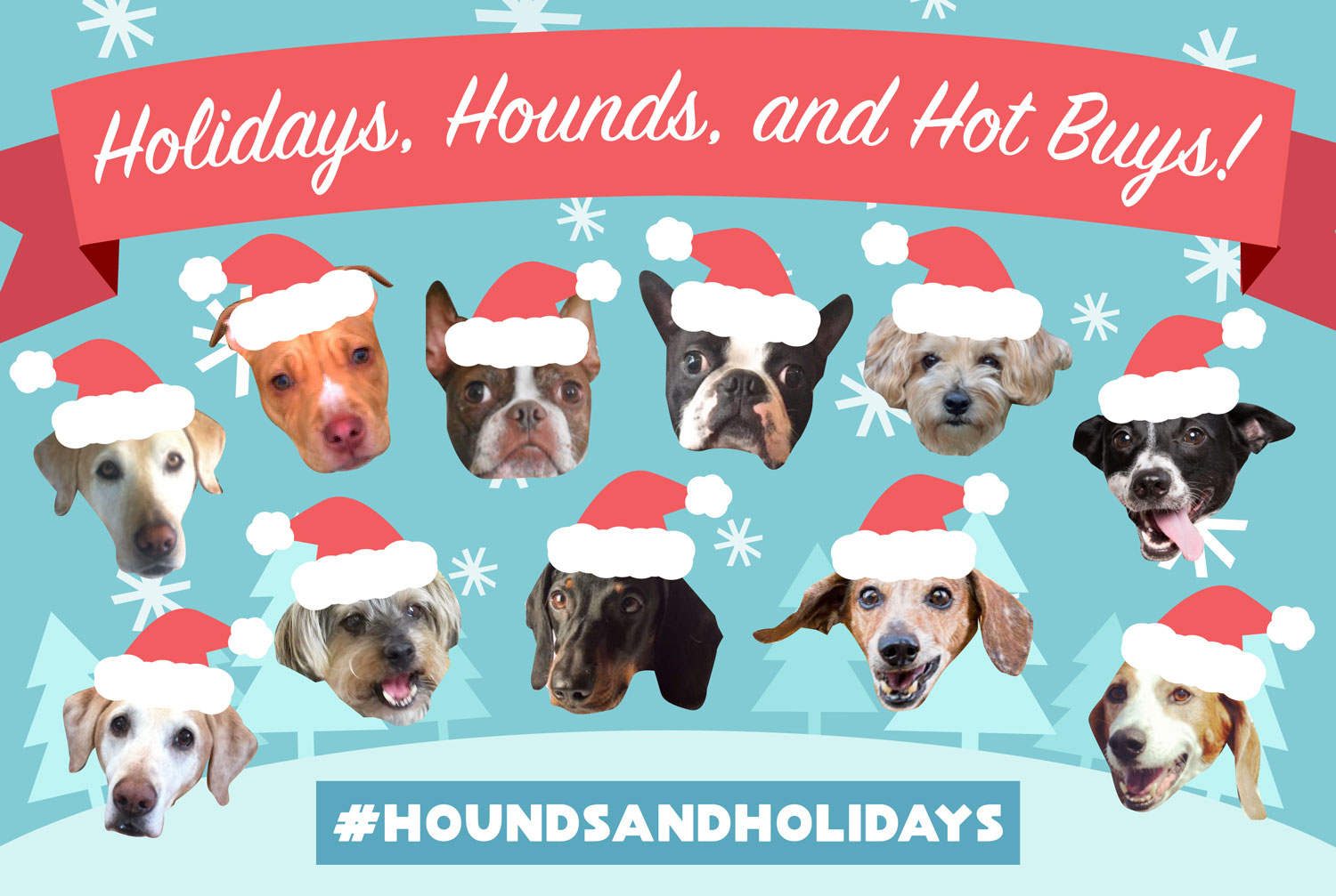 Holidays, Hounds, and Hot Buys Gift Guide Giveaway!