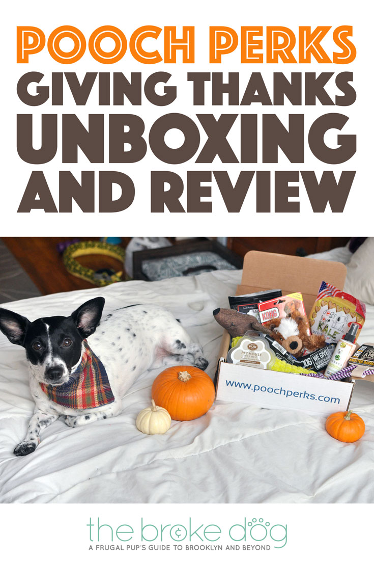 It's November, which means turkey, pumpkin pie, sweet potatoes with marshmallows on top, and giving thanks. It also means another Pooch Perks unboxing!